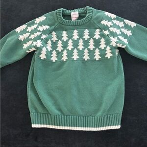 Hanna Andersson Green and White Crewneck Sweater